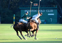 story-about-polo_goal